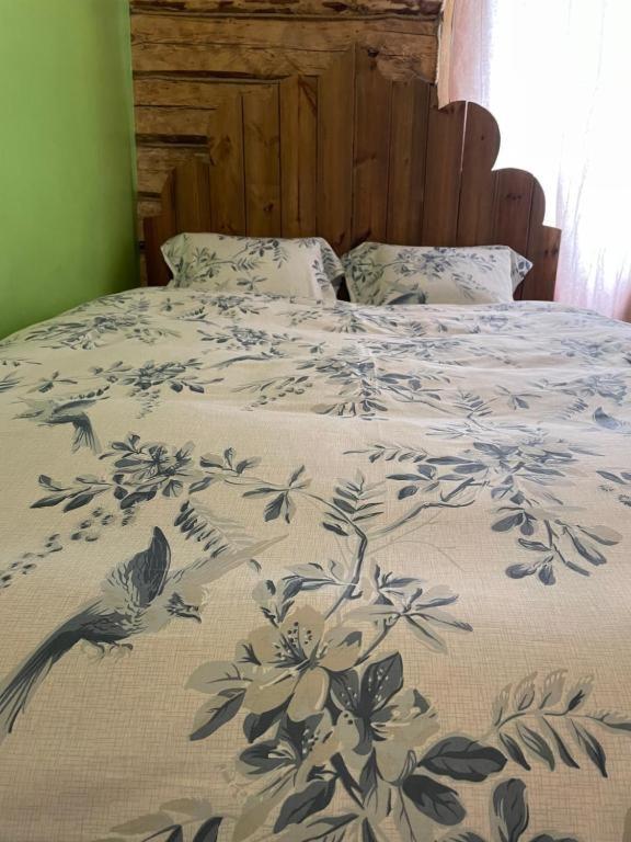 Stebuklas VNO Kültér fotó