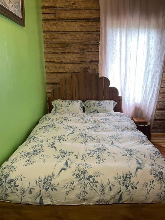 Stebuklas VNO Kültér fotó
